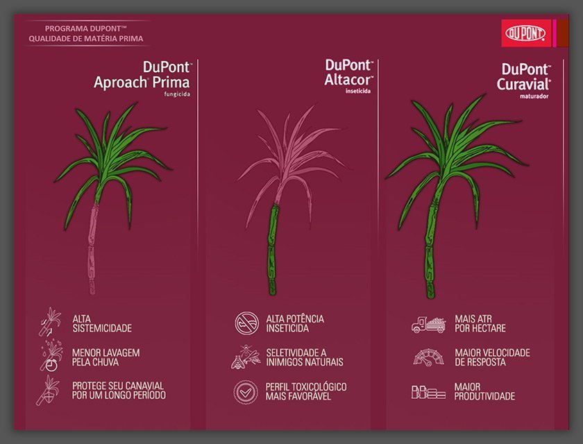 Apresentação Exemplo Produto Dupont